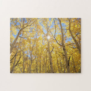 Abstract of Gilia Amidst Wildflowers California Jigsaw Puzzle