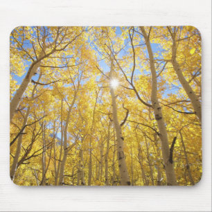 Abstract of Gilia Amidst Wildflowers California Mouse Pad
