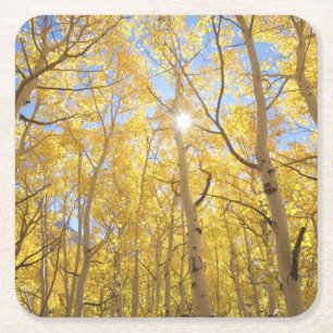 Abstract of Gilia Amidst Wildflowers California Square Paper Coaster