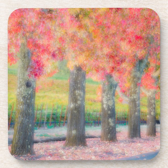 Abstract of Napa Valley trees Coaster (Front)