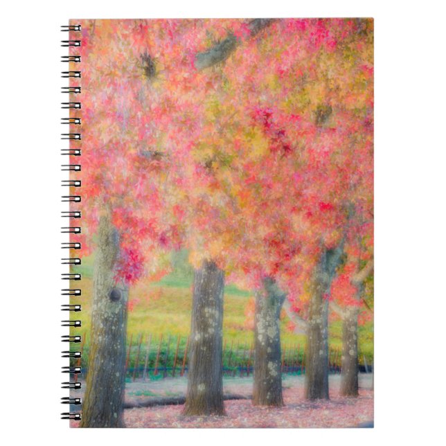 Abstract of Napa Valley trees Notebook (Front)
