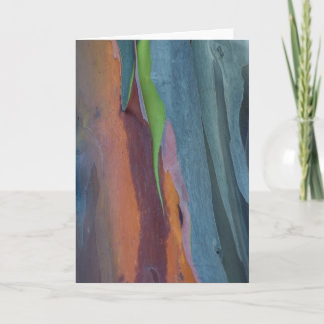Abstract Of Rainbow Gum Tree Card (Front)
