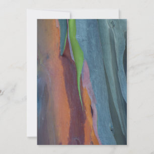 Abstract Of Rainbow Gum Tree Card