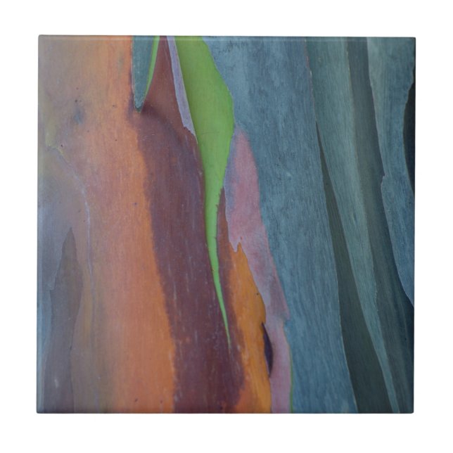 Abstract Of Rainbow Gum Tree Ceramic Tile (Front)