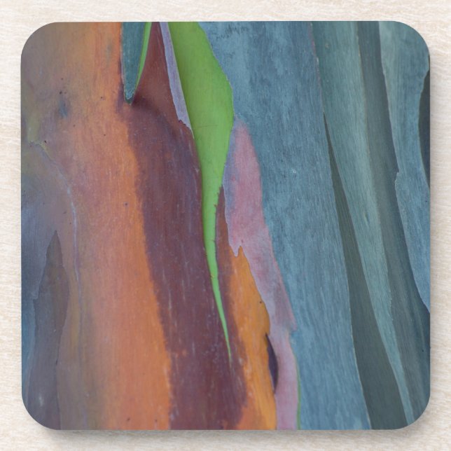 Abstract Of Rainbow Gum Tree Coaster (Front)
