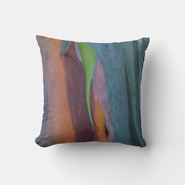 Abstract Of Rainbow Gum Tree Cushion (Front)
