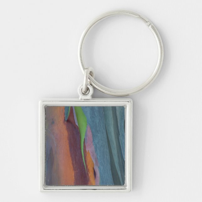 Abstract Of Rainbow Gum Tree Key Ring (Front)