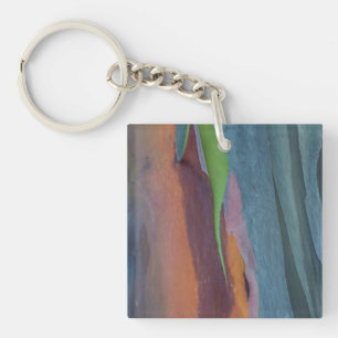 Abstract Of Rainbow Gum Tree Key Ring