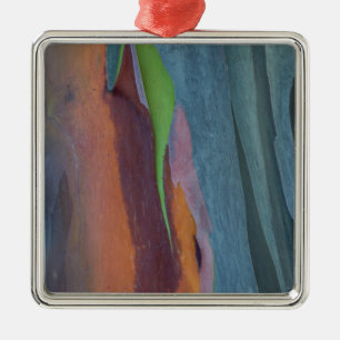 Abstract Of Rainbow Gum Tree Metal Ornament