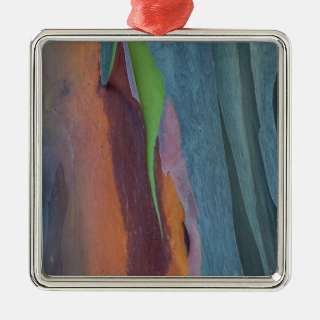 Abstract Of Rainbow Gum Tree Metal Ornament (Front)