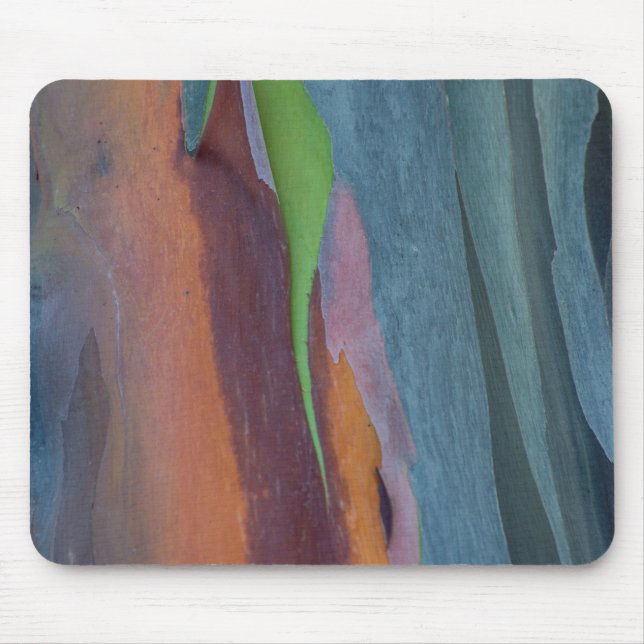 Abstract Of Rainbow Gum Tree Mouse Pad (Front)