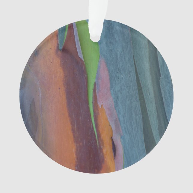 Abstract Of Rainbow Gum Tree Ornament (Front)