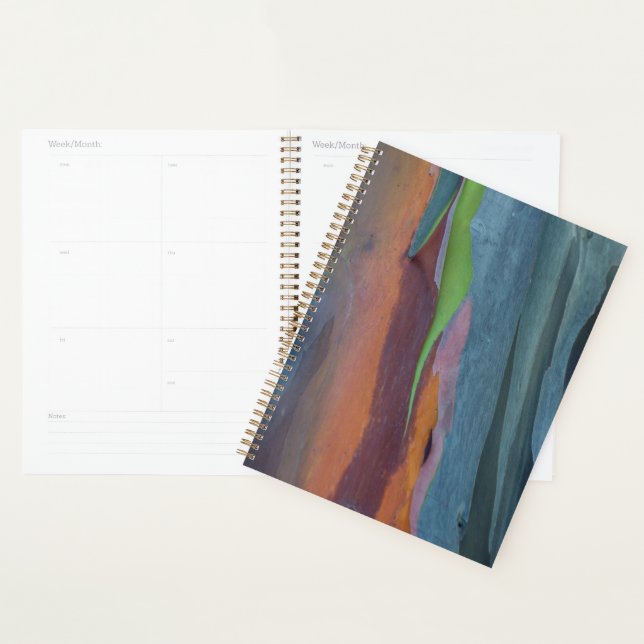 Abstract Of Rainbow Gum Tree Planner (Display)
