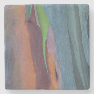 Abstract Of Rainbow Gum Tree Stone Coaster