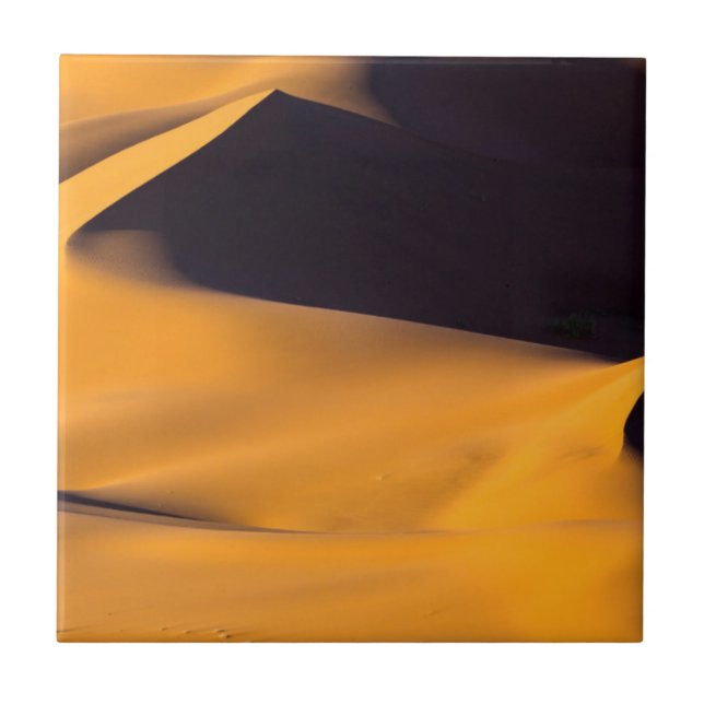 Abstract of sand dune ceramic tile (Front)
