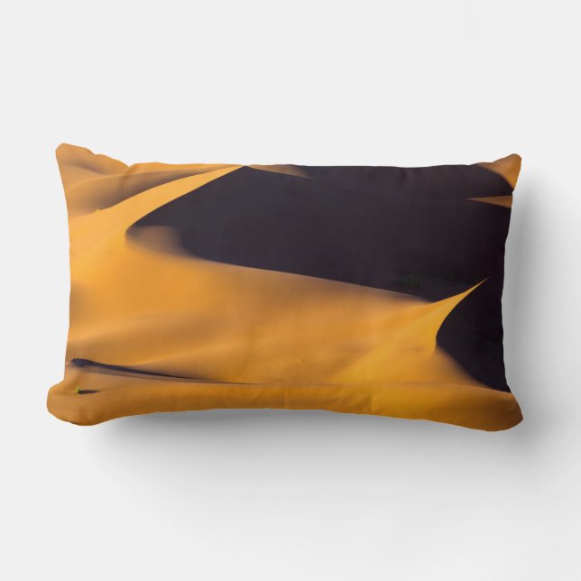 Abstract of sand dune lumbar cushion (Front)