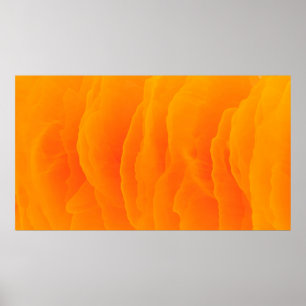 Abstract orange background colorful poster
