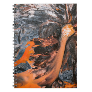 Abstract painting notebook