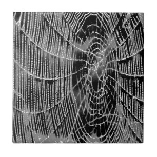 Abstract Painting Of A Grey White Cobweb On Black Ceramic Tile