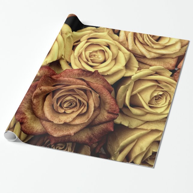 Abstract Peach Colour Roses Garden Elegant Floral Wrapping Paper (Unrolled)