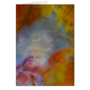 Abstract Petrified Wood close-up