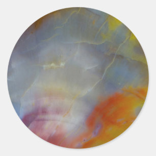 Abstract Petrified Wood close-up Classic Round Sticker