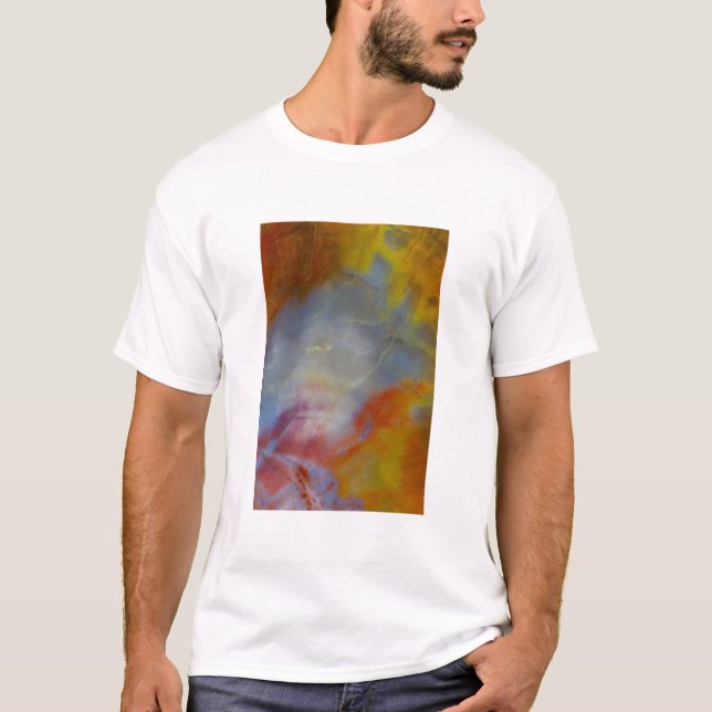 Abstract Petrified Wood close-up T-Shirt (Front)