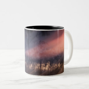 abstract photo cup