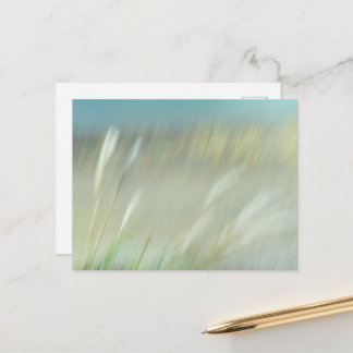 Abstract Photograph Postcard