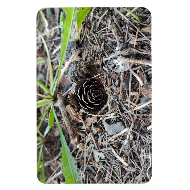 Abstract Pinecone Flower Magnet (Vertical)