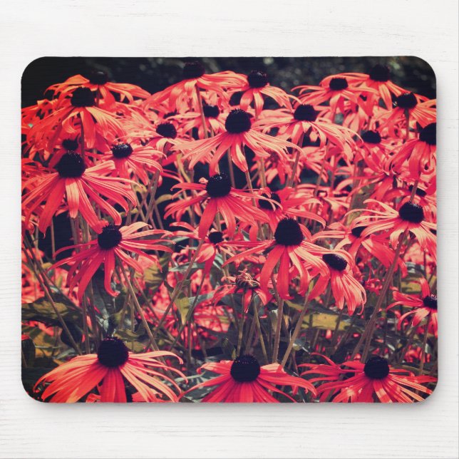 Abstract Pink Black Eyed Susan Flower Art Mouse Pad (Front)