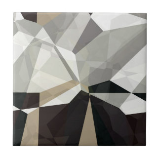 Abstract Polygons 212 Ceramic Tile