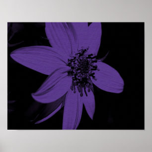 Abstract Purple Sunflower Flower Poster