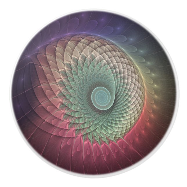 Abstract Snail Colourful Modern Fractal Art Ceramic Knob (Front)