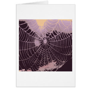 Abstract Spider Web