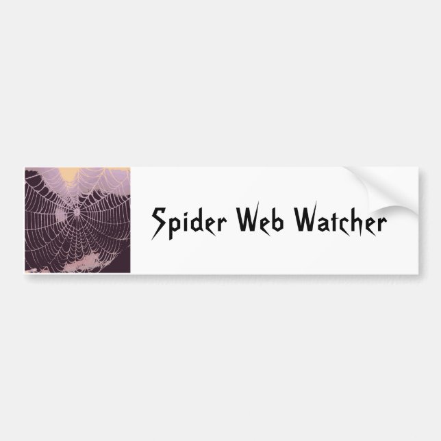 Abstract Spider  Web Bumper Sticker (Front)