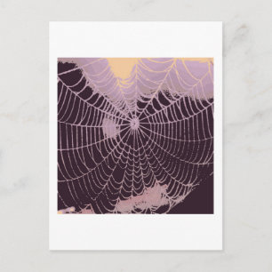 Abstract Spider Web Postcard