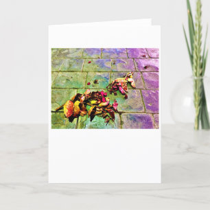 Abstract Street View 720, card