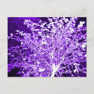 Abstract Tree Postcard
