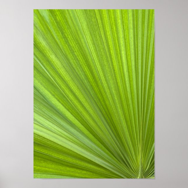 Abstract Tropical Green Palm Frond Poster (Front)
