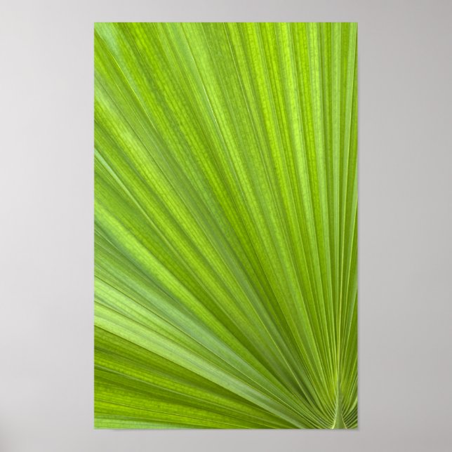 Abstract Tropical Green Palm Frond Poster (Front)
