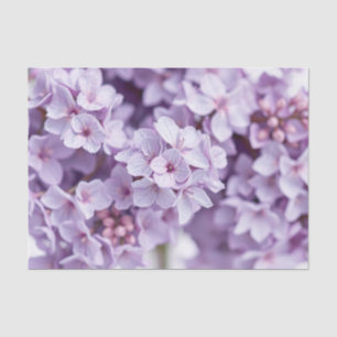 Abstract Watercolor Lilac Clusters Luxury Tissue Paper