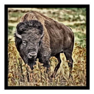 Abstract Western Buffalo Poster