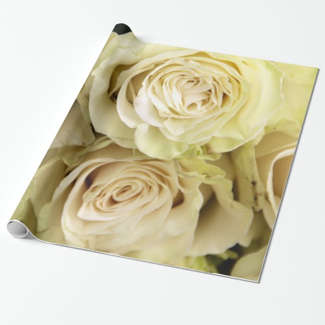 Abstract White Roses Garden Elegant Floral Wrappin Wrapping Paper (Unrolled)