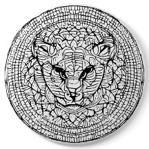 Abstract Wild Cat Head