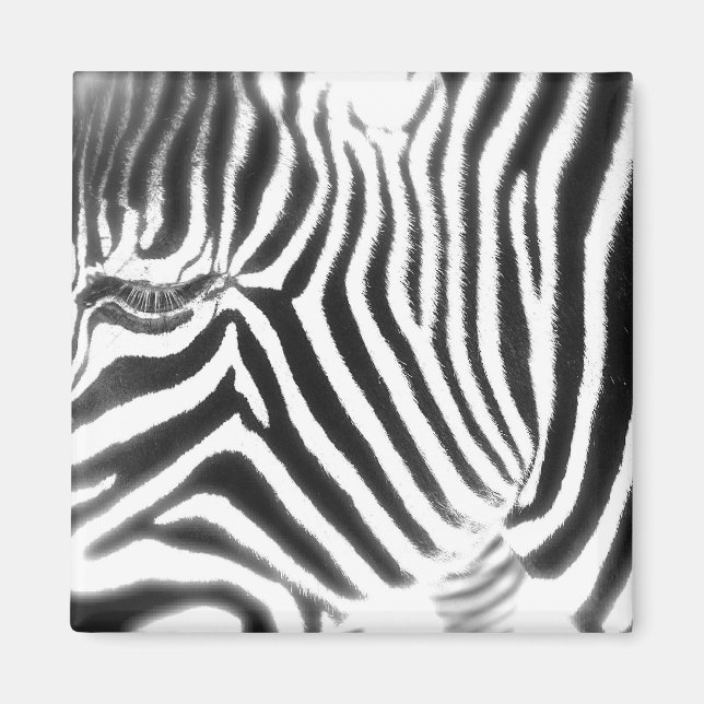 Abstract Zebra Magnet (Front)