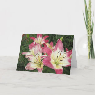 Abundance Greeting Card