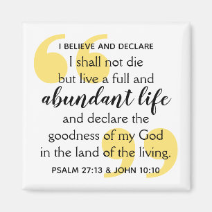 ABUNDANT LIFE Positive Christian Affirmation Magnet