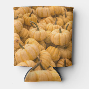 Abundant pumpkins: seasonal harvest scene. can cooler