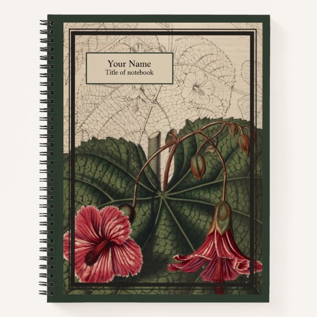 Abutilon Reverie Notebook (Front)
